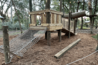 Little Lemur's Course