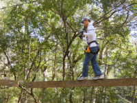 Man Walks Beam On Forest Run Course