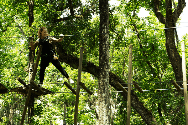 Guest Up High In Trees