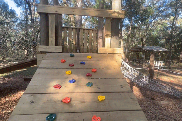 Small Climbing Wall