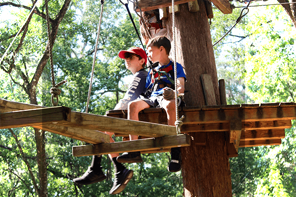 Two Boys Sit Atop Landing On Sunflower Course