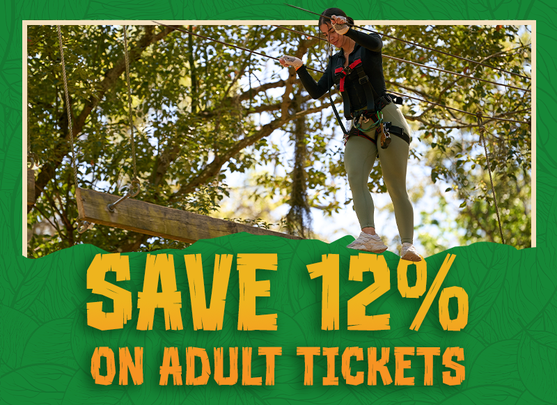 WK47_2026_TH_Email_BiweeklySpecial TreeHoppers weekly special - save 12% on adult tickets